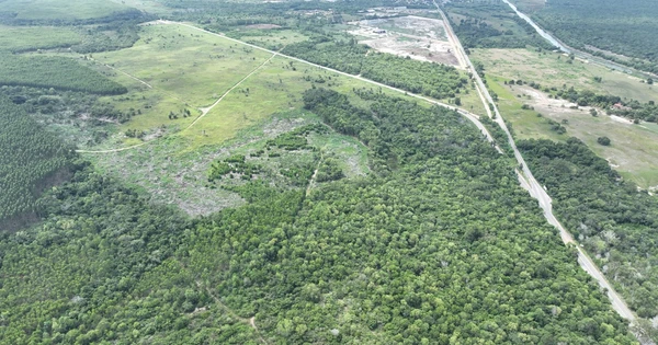 Fábrica de biocombustível investe R$ 250 milhões na ZPE de Aracruz