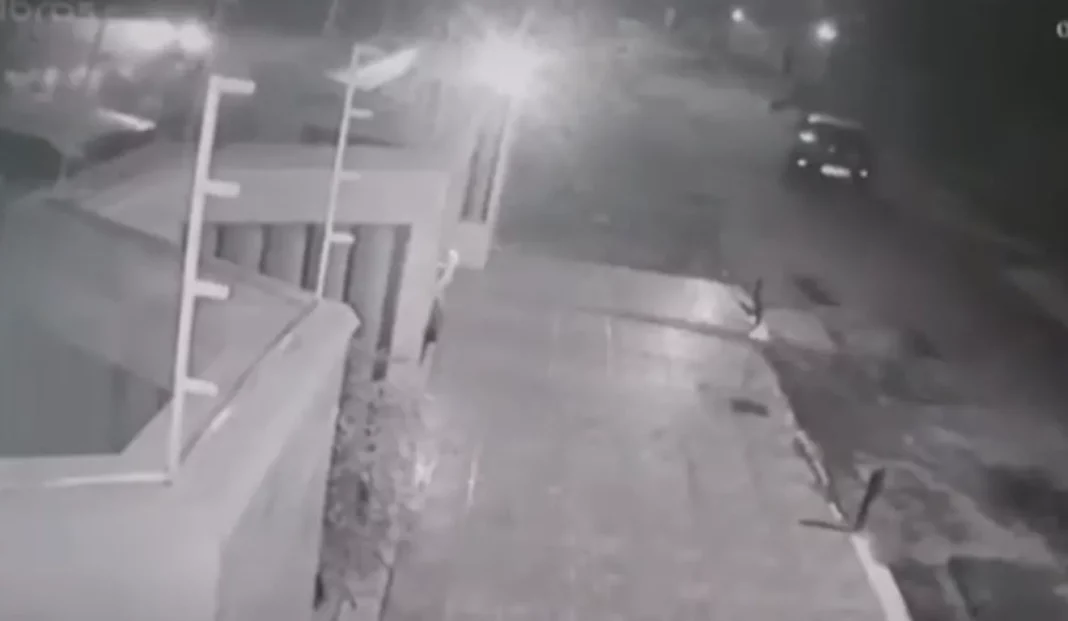 Suspeito de atropelar capivaras em Vila Velha afirma que foi acidente