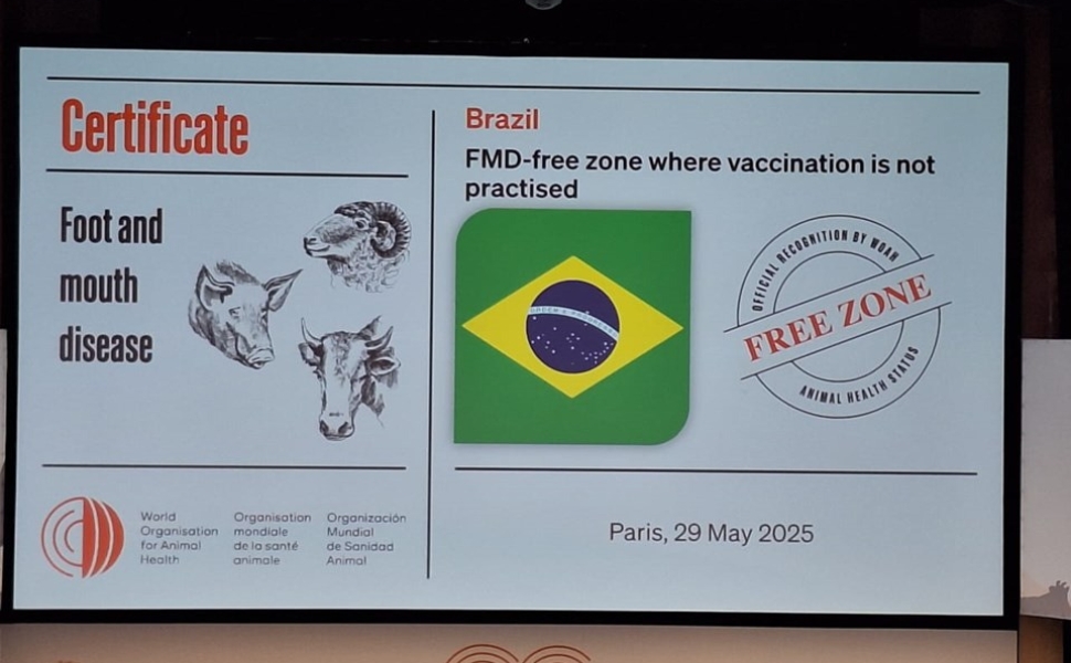 Tragédia climática no Rio Grande do Sul foi a maior da história do Brasil