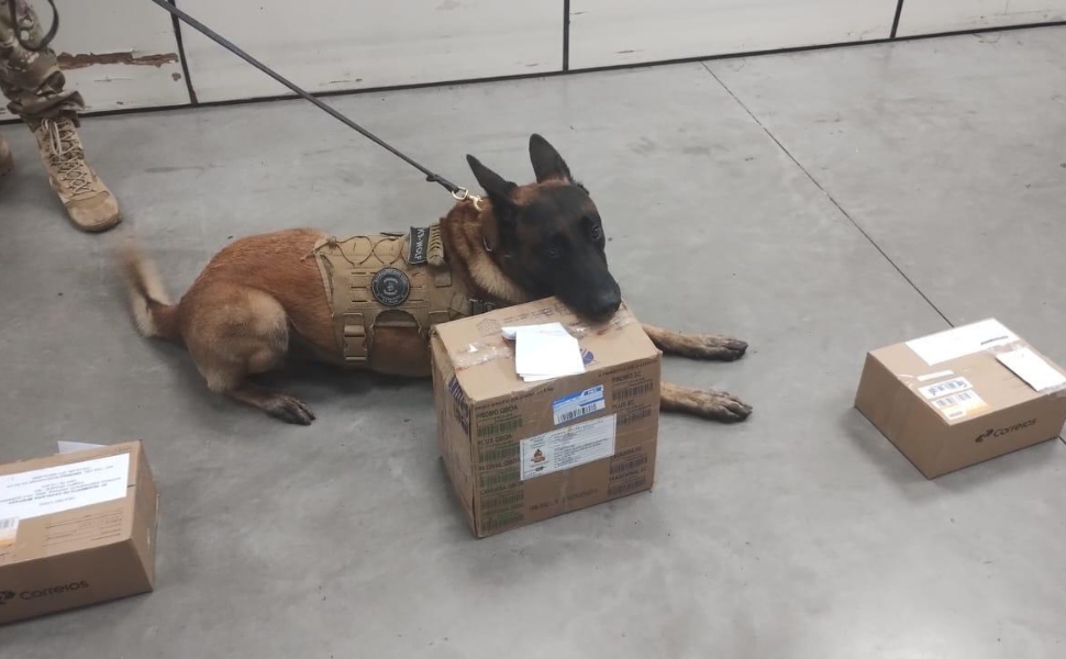 Veículo e os documentos foram entregues à Polícia Civil