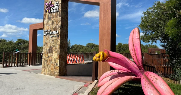 Nova ciclovia até Ponte da Madalena é apresentada