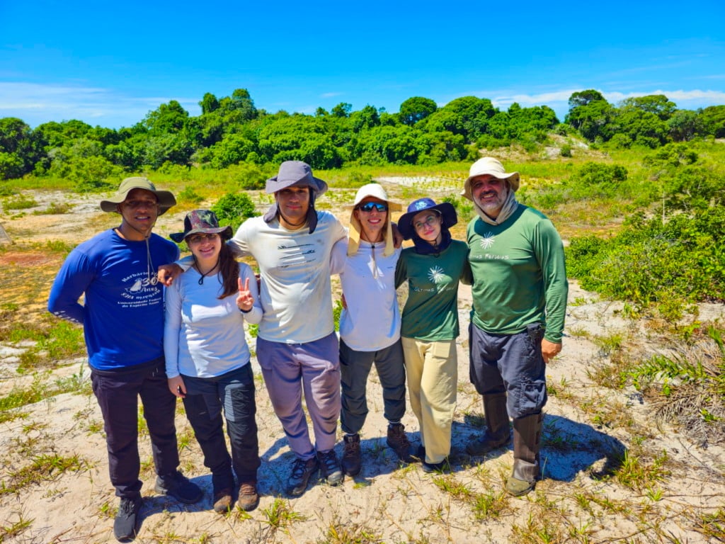 Pesquisador João Pedro Zanardo e sua equipe manuseiam mudas em área experimental de restauração.