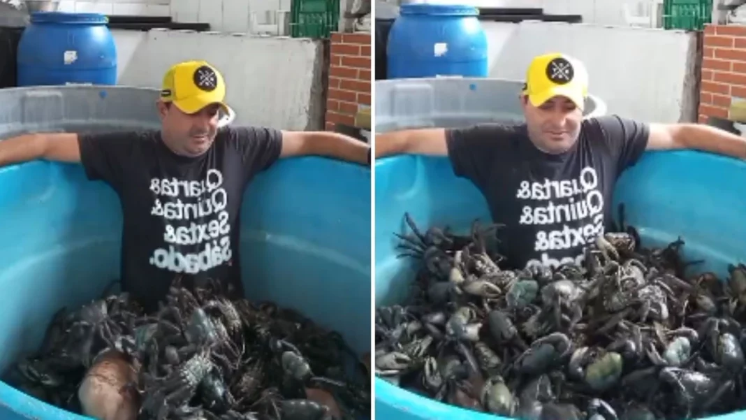 Empresário da serra entra em piscina de caranguejos e viraliza nas redes sociais