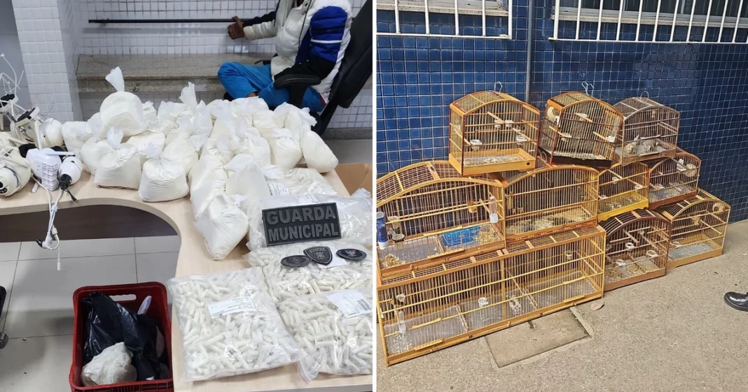 Guarda apreende 37 kg de cocaína em imóvel em cariacica