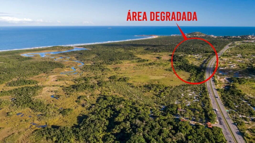 O caso da restinga do parque estadual paulo césar vinha